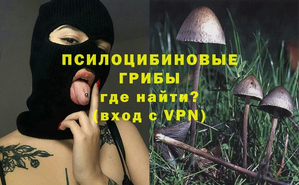 стаф Наволоки